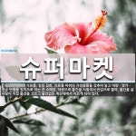 슈퍼마켓 뜻: 식료품, 일용 잡화, 의료품 따위의 가정용품을 갖추어 놓고 대량ㆍ염가ㆍ현금 판매를 원칙으로