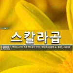 곱다스킨 | 스칼라곱 뜻: 두 벡터의 크기와 이들 벡터들이 이루는 각의 코사인값의 곱. 결과는 스칼라값이 얻어진다.