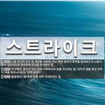 스트라이크 뜻