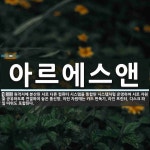 아르에스앤 뜻