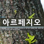 아르페지오 뜻: 화음을 이루는 각 음들을 한꺼번에 소리 내지 않고 아래에서 위로, 위에서 아래로, 또는 오