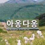 아옹다옹 뜻: 대수롭지 아니한 일로 서로 자꾸 다투는 모양.