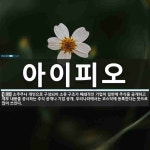 성호아이피오 주식회사 | 아이피오 뜻: 소주주나 개인으로 구성되어 소유 구조가 폐쇄적인 기업이 일반에 주식을 공개하고 재무 내용을
