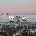 안뜰핵 뜻
