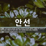 안선 뜻
