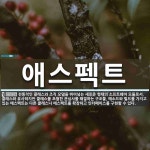 애스펙트 뜻: 전통적인 클래스와 조직 모델을 뛰어넘는 새로운 형태의 소프트웨어 모듈로서, 클래스와 유사하