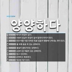 양양하다 뜻