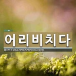 어리비치다 뜻: 어떤 현상이나 기운이 은근하게 드러나 보이다.