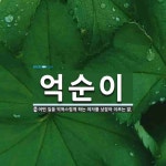억순이순대일반음식점 | 억순이 뜻: 어떤 일을 억척스럽게 하는 여자를 낮잡아 이르는 말.