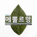 에뽈르망 뜻