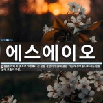 이에스오에이 | 에스에이오 뜻: 객체 지향 프로그램에서 각 응용 결합의 연산에 관한 기능과 정보를 나타내는 응용 실체 호출