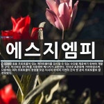 에스지엠피 뜻