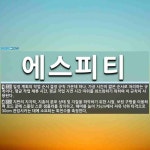 에스피티 뜻