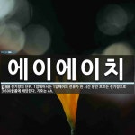 주식회사 에이에이치샵 | 에이에이치 뜻