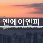 이앤에이피 | 엔에이엔피 뜻