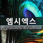 벡스씨엠 | 엠시엑스 뜻