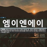엠이엔에이 뜻: 중동과 북아프리카의 주요 국가를 지칭하는 말. 석유의 생산이나 거래를 통해 누적된 자금을 엠이엔에이 뜻: 중동과...