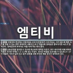 (유)엠티비여행사 | 엠티비 뜻