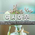 여시아문 뜻: 모든 불경의 첫머리에 붙은 말. ‘나는 이와 같이 들었다.’라는 뜻으로, 불경이 석가모니로