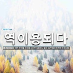 금천사우나내 이용실 | 역이용되다 뜻