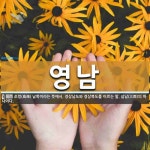 남평BYC | 영남 뜻: 조령(鳥嶺) 남쪽이라는 뜻에서, 경상남도와 경상북도를 이르는 말. 삼남(三南)의 하나이다.