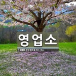 맥스다오(영업소) | 영업소 뜻