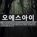 이에스오에이 | 오에스아이 뜻