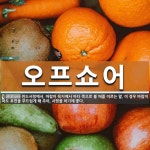 비피피오프쇼어윈드 | 오프쇼어 뜻: 윈드서핑에서, 바람이 육지에서 바다 쪽으로 불 때를 이르는 말. 이 경우 바람이 파도 표면