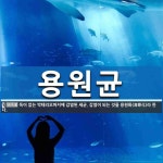 용안이용원 | 용원균 뜻: 독이 없는 박테리오파지에 감염된 세균. 감염이 되는 것을 용원화(溶原化)라 한다.