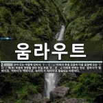 움라우트 뜻