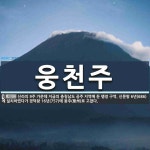 웅비참살이주 | 웅천주 뜻
