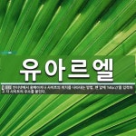 유아르엘 뜻: 인터넷에서 홈페이지나 사이트의 위치를 나타내는 방법. 맨 앞에 ‘http://’를 입력하고