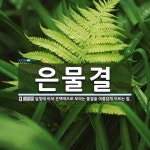 은물결 뜻