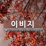 이비지 뜻: 텍스트 데이터와 화상 데이터를 모두 지원하는 전자 책의 확장된 규격.