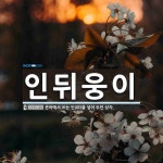 용안이용원 | 인뒤웅이 뜻: 관아에서 쓰는 인(印)을 넣어 두던 상자.