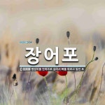 장어포 뜻: 뱀장어를 반쪽으로 갈라서 뼈를 바르고 말린 포.