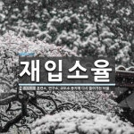 재입소율 뜻