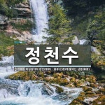 정천수 뜻
