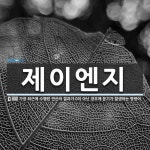 주식회사 제이엔지리테일 | 제이엔지 뜻