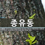 ㈜동유풍 | 종유동 뜻: 지하수가 석회암 지대를 용해하여 생긴 동굴. 카르스트 지형의 하나로, 천장에 종유석이 달리