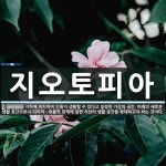 ㈜지오토피아 | 지오토피아 뜻: 지하에 위치하여 인류가 생활할 수 있다고 설정한 가상의 공간. 미래의 새로운 생활 공간으로