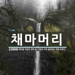 채전밭과수원길 | 채마머리 뜻: 채마밭 이랑의 한쪽 끝. 사람이 자주 출입하는 쪽을 이른다.