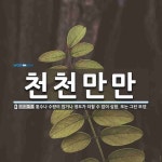 천천더차이니즈주 | 천천만만 뜻: 횟수나 수량이 많거나 정도가 더할 수 없이 심함. 또는 그런 모양.