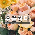 추미디어앤웹 | 추졸하다 뜻: 지저분하고 졸렬하다.