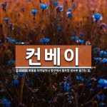 컨베이유통그룹 | 컨베이 뜻: 화물을 터미널이나 항구에서 필요한 장소로 옮기는 일. 컨베이 뜻: 화물을 터미널이나 항구에서 필요한 장소로 옮기는 일.