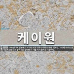 보루네오가구와이케이원 | 케이원 뜻