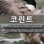 (주)보광코린트 | 코린트 뜻