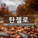 탄젤로 주식회사 | 탄젤로 뜻