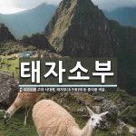 태자인력태평양희생자 | 태자소부 뜻