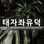 태자인력태평양희생자 | 태자좌유덕 뜻